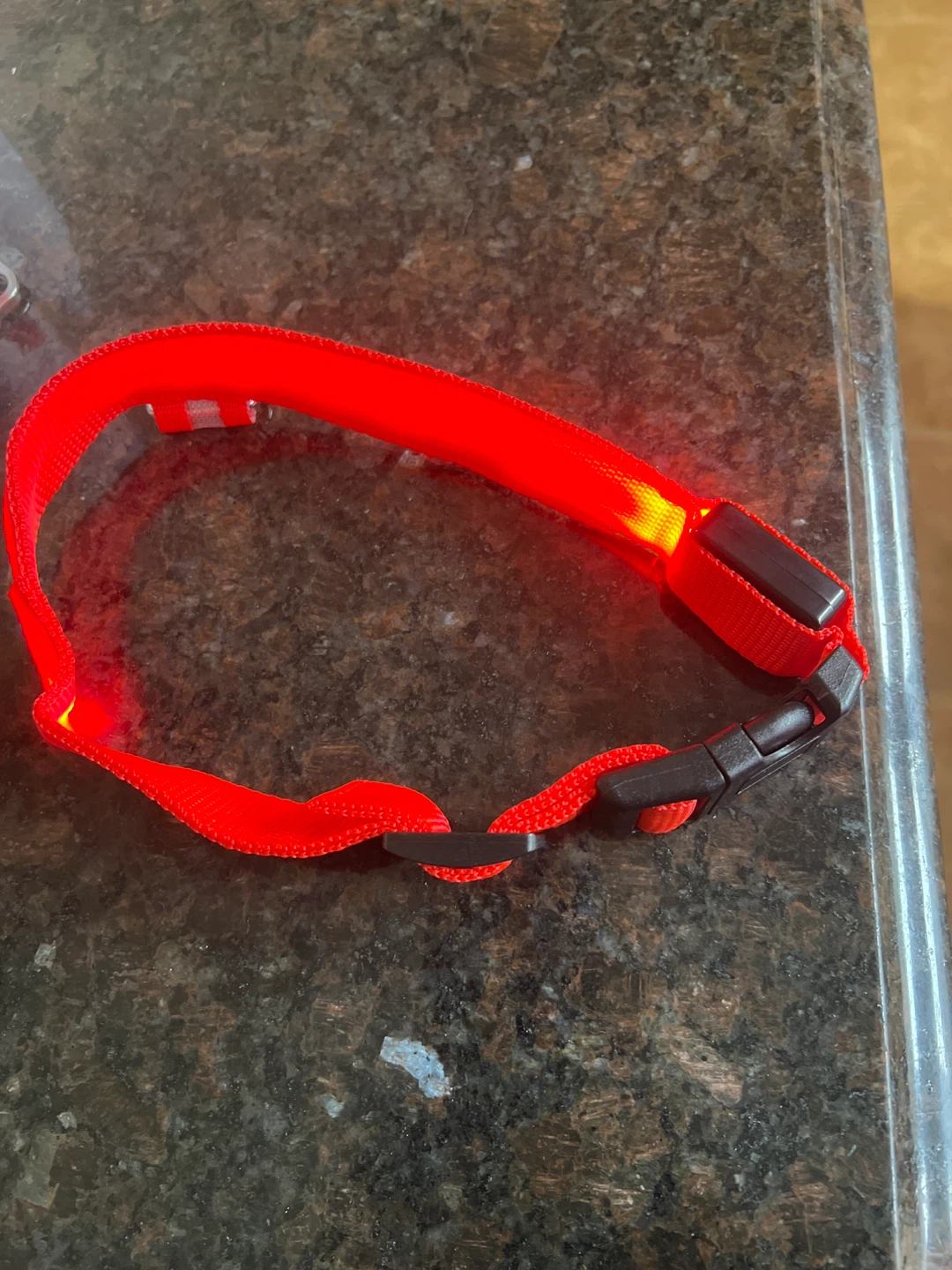Red LED Dog Collar