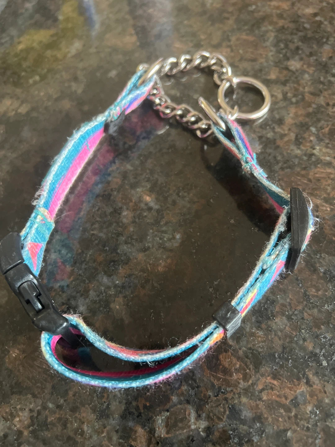 Dog Collar with Chain Accent