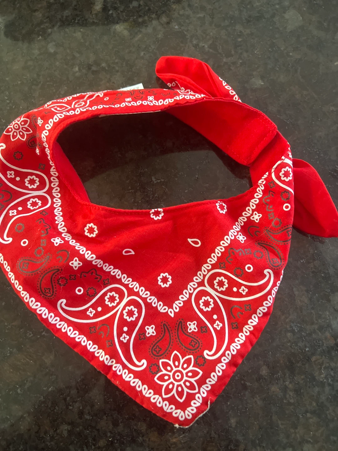 Dog Red Bandana with Paisley Print