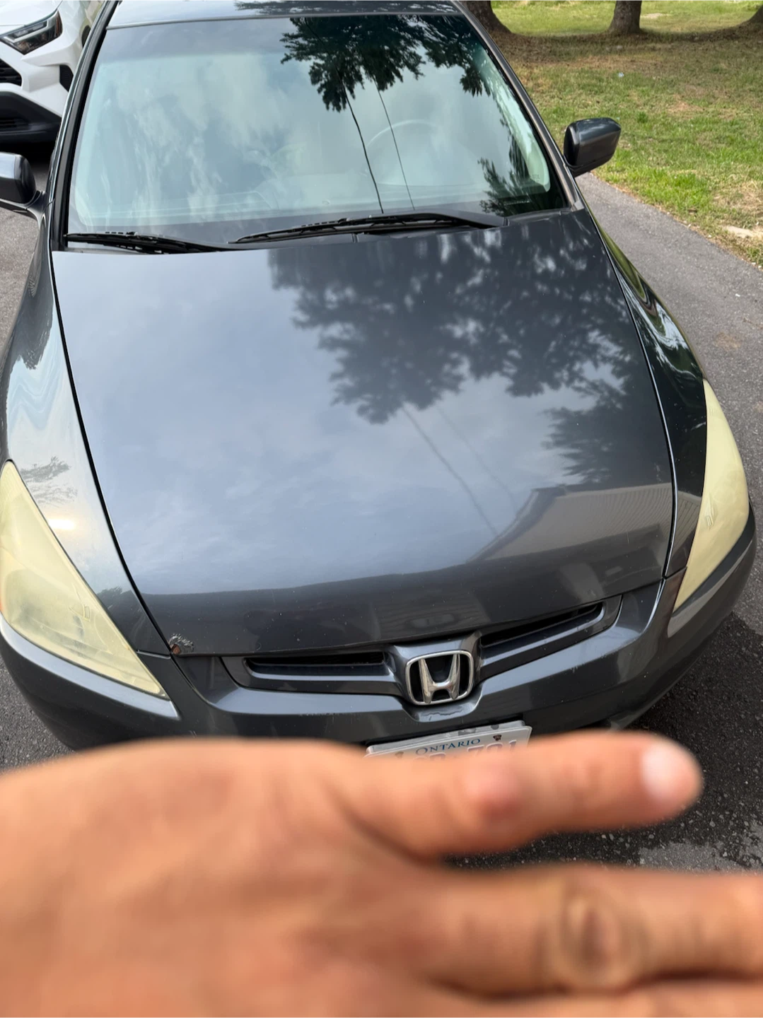 Honda Accord Dark Grey Sedan 2004 years - photo 3