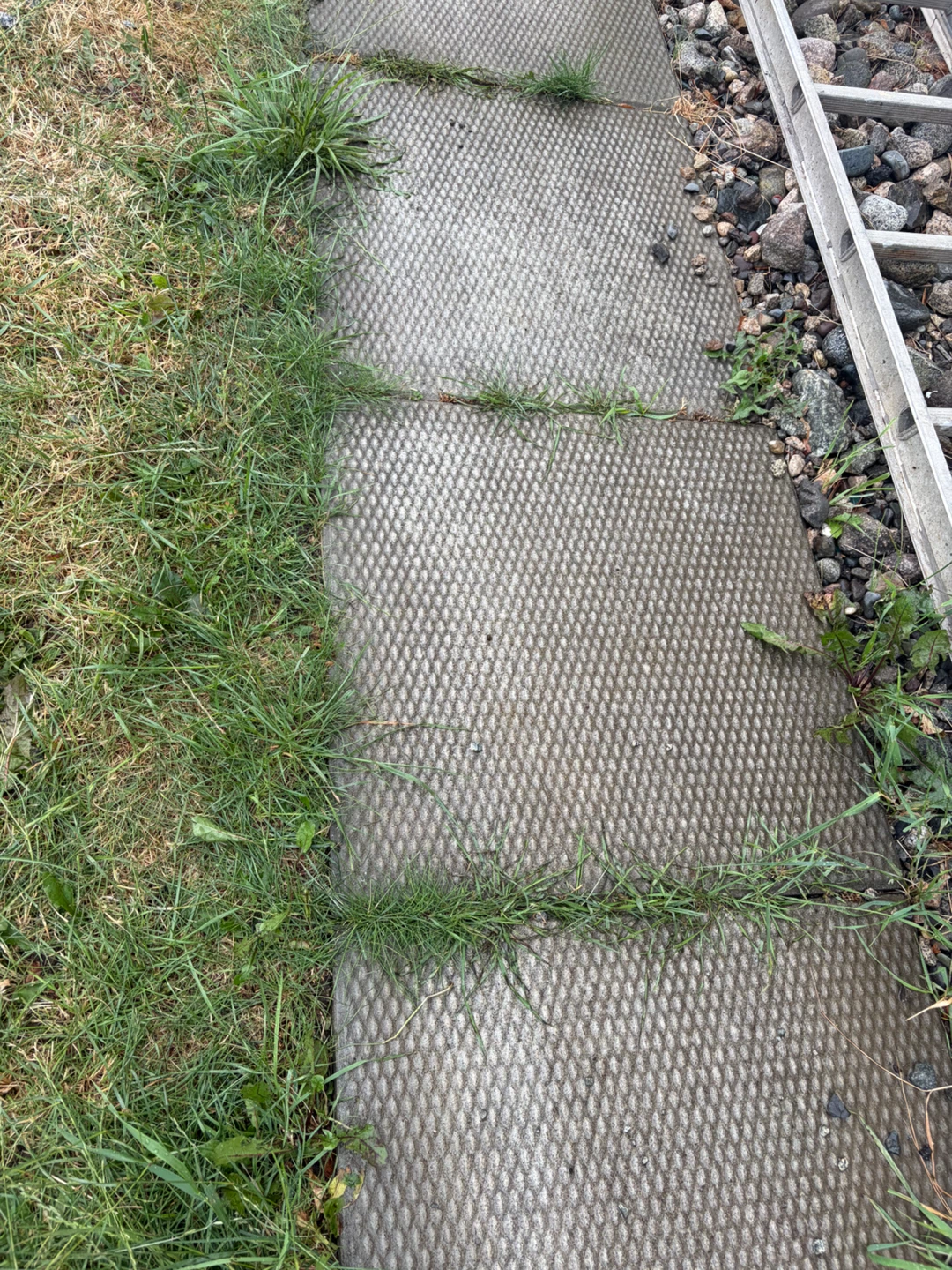 Concrete Pathway Slabs - photo 2