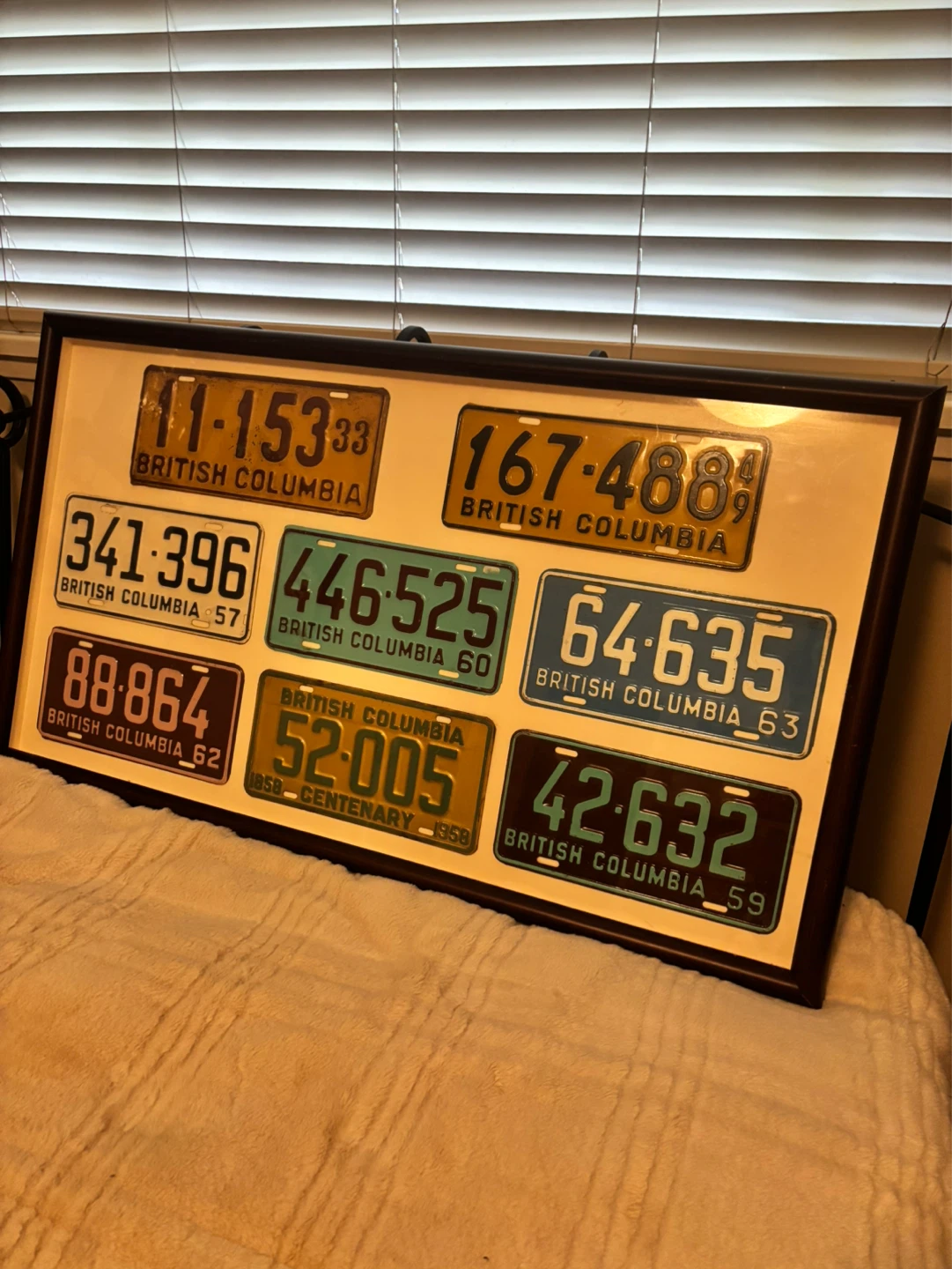 Framed British Columbia License Plates Collection