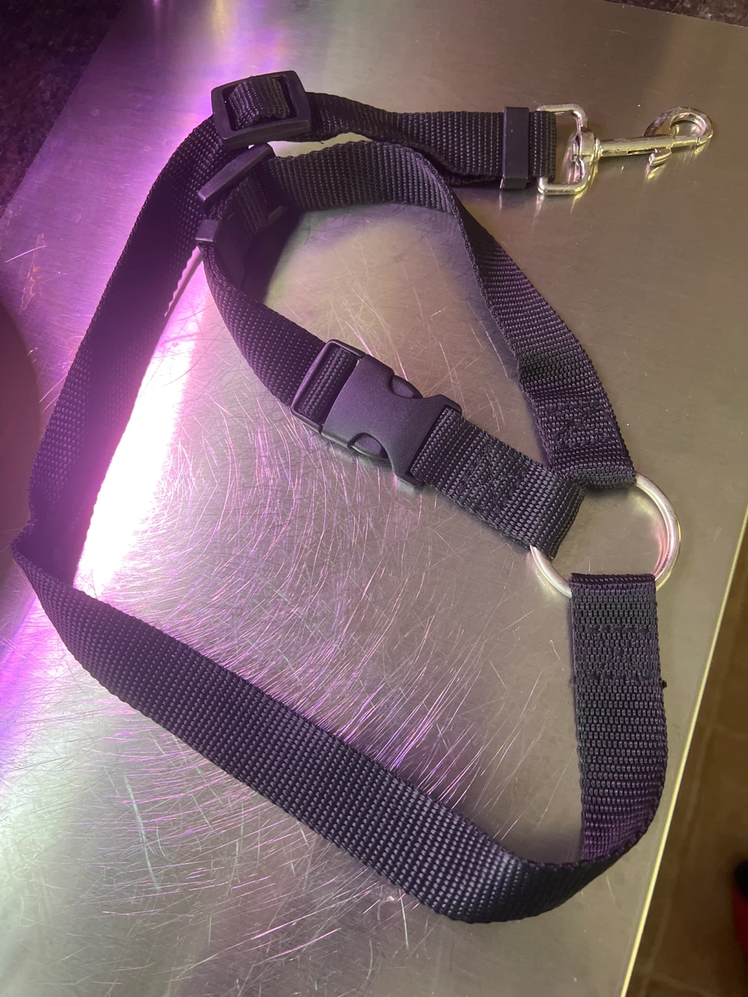 Black Nylon Dog Leash/Harness Strap