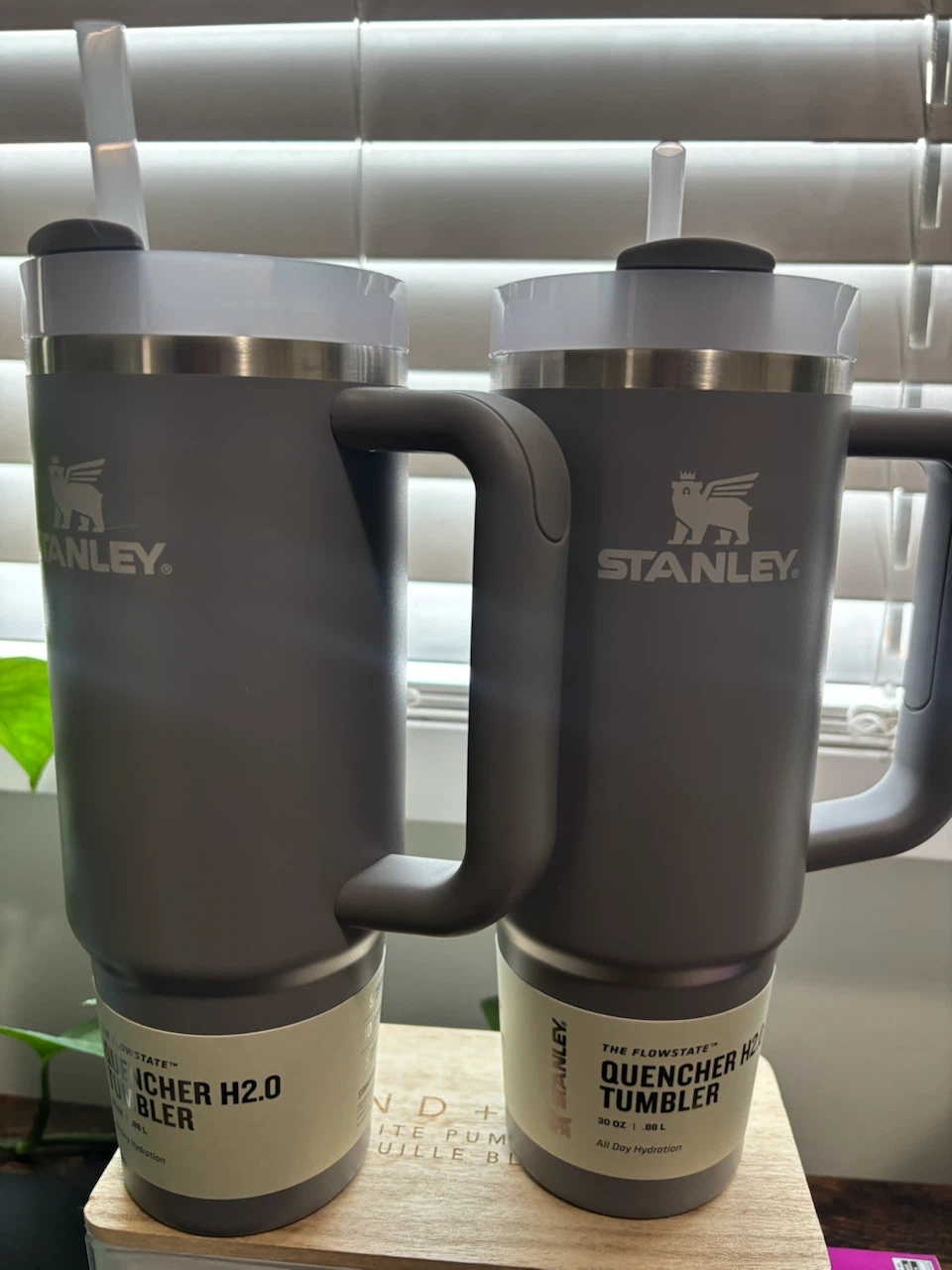 Stanley Quencher H2.0 Tumbler