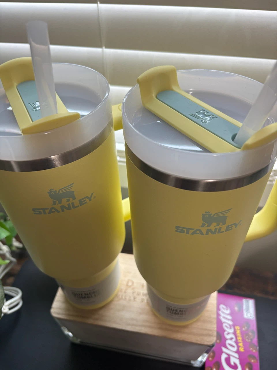 Stanley Quencher Tumblers - Set of 2 - Yellow