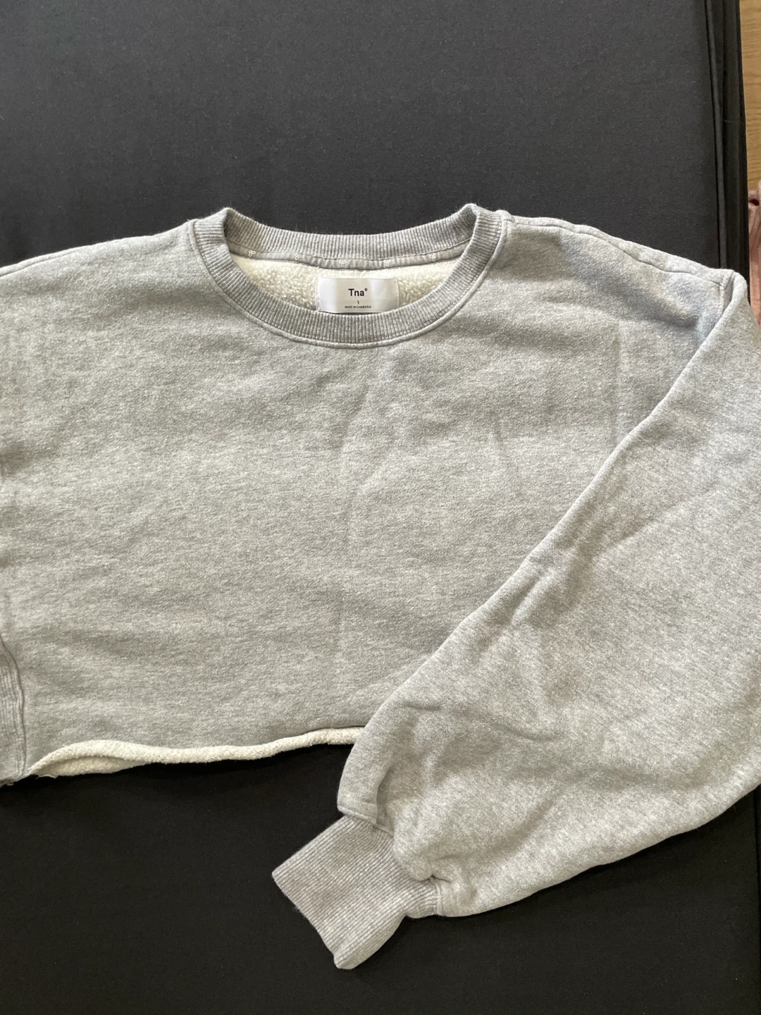 Tna Grey Crewneck Cropped Sweatshirt Size 1