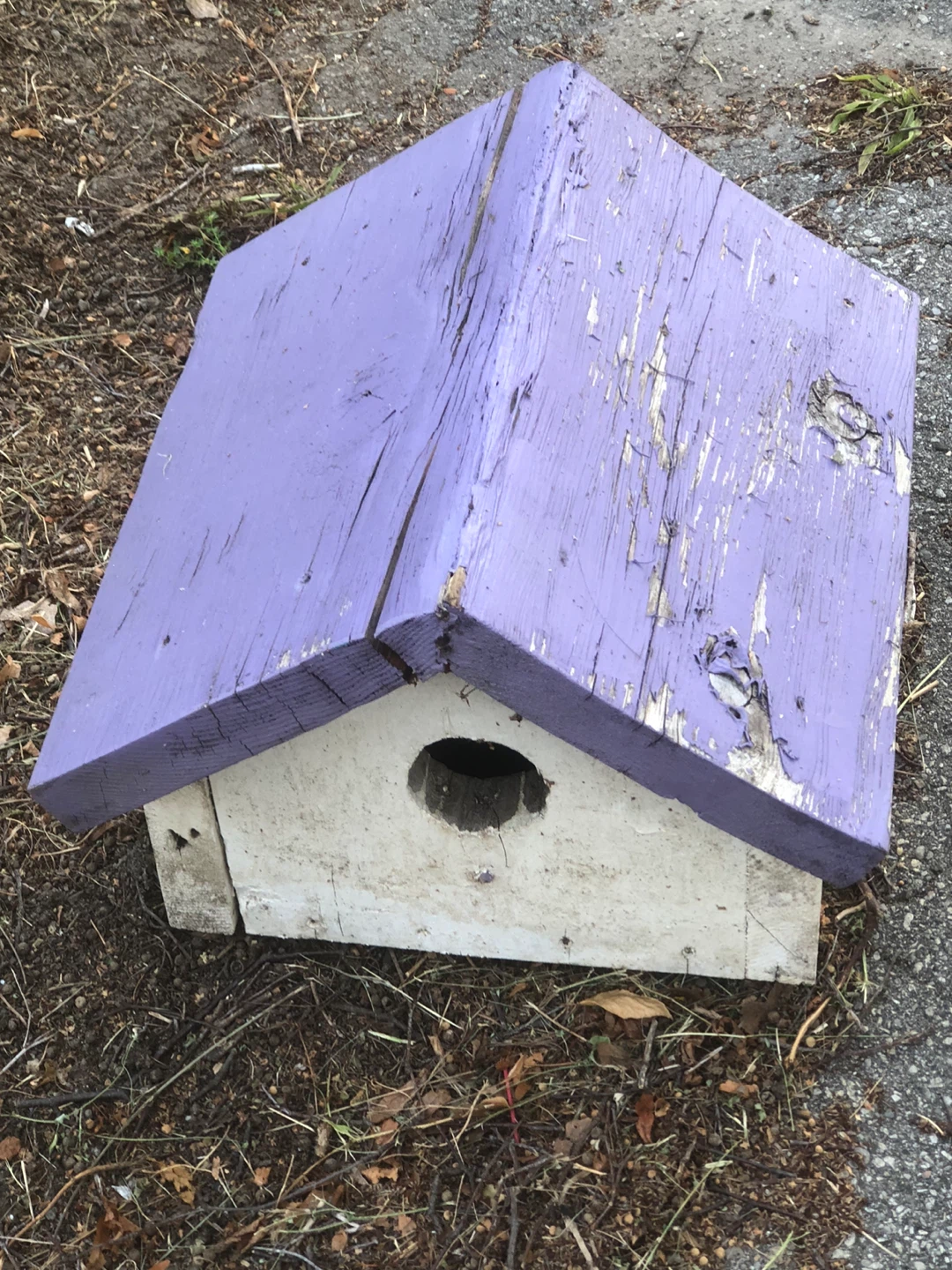 Rustic Wooden Birdhouse