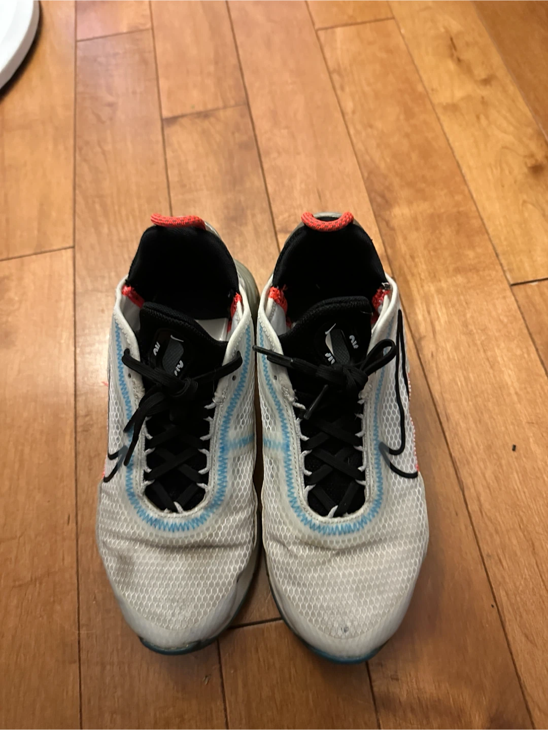 Nike Air Max 2090 women's Shoes