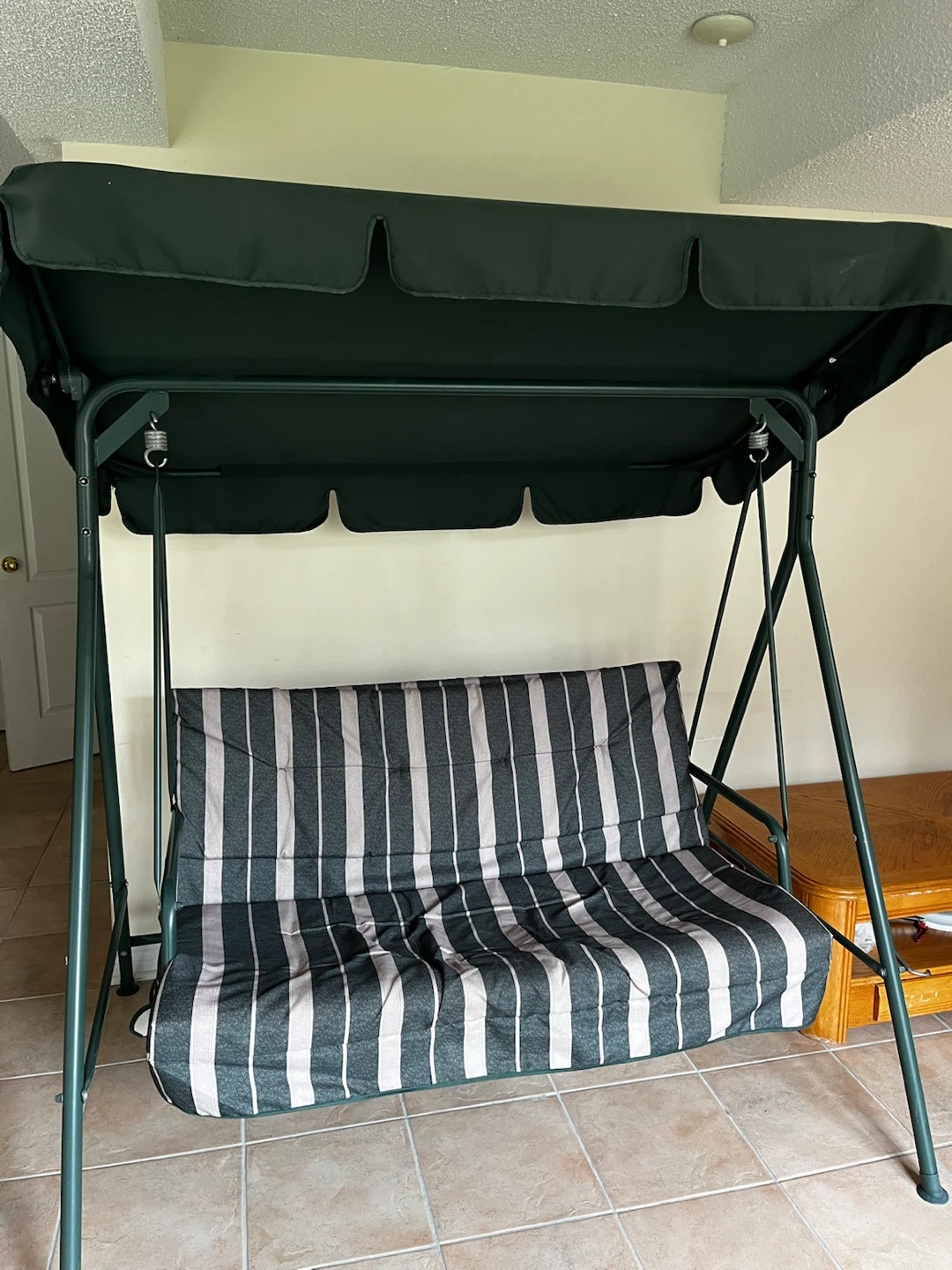 Green Outdoor Patio Swing with Striped Cushion