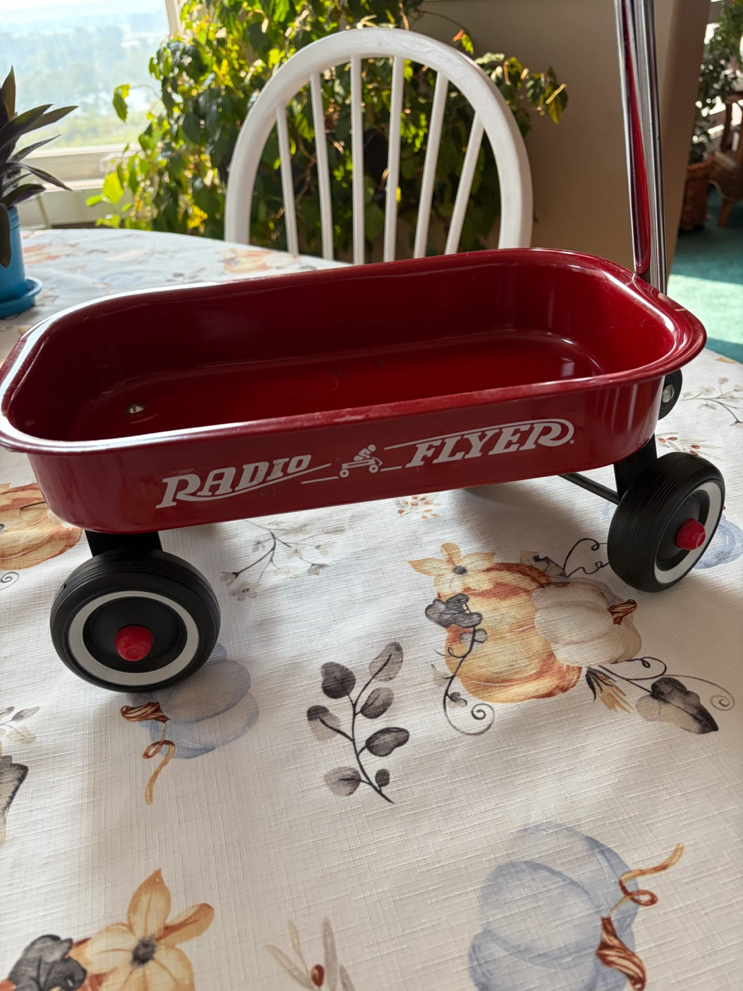 Radio Flyer Wagon