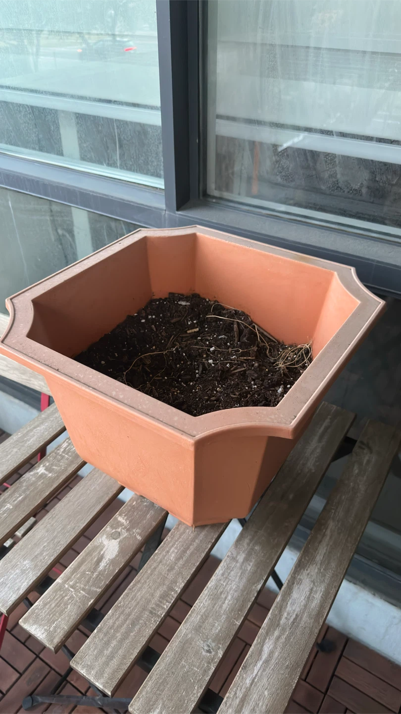 Octagonal Planter and Brown Plastic Planter with Saucer