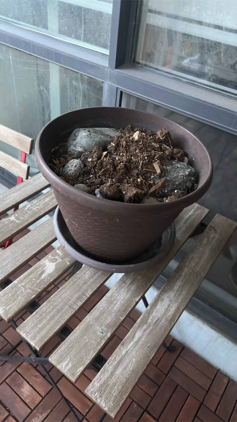 Octagonal Planter and Brown Plastic Planter with Saucer - photo 3