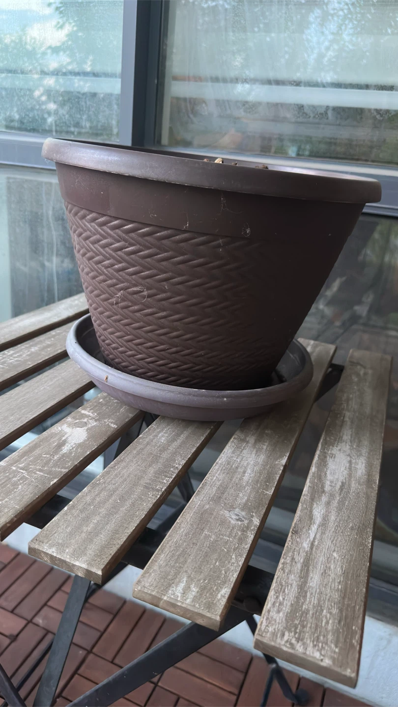Octagonal Planter and Brown Plastic Planter with Saucer - photo 4