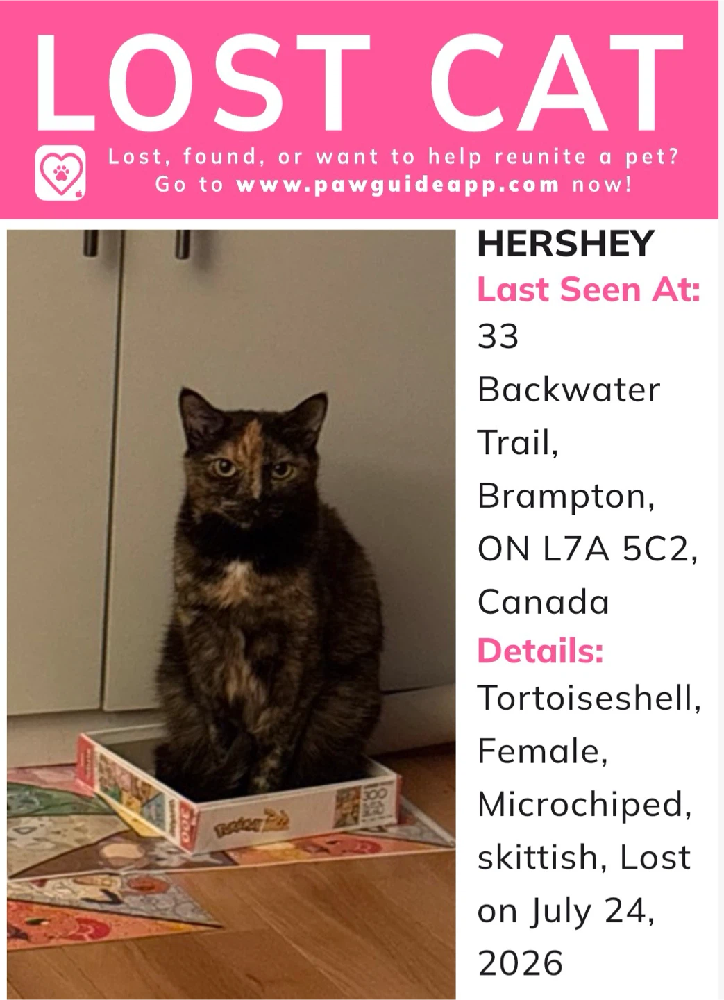 LOST CAT - Hershey