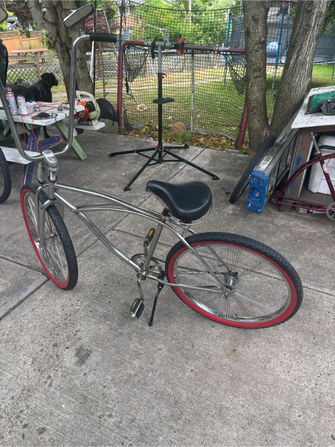 Chrome cruiser - photo 2