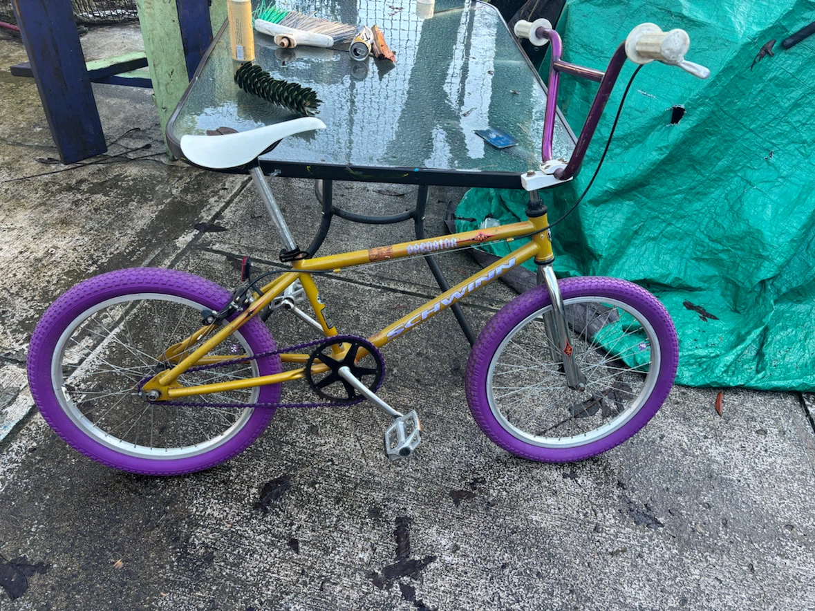 Schwinn Predator BMX Bike - photo 3