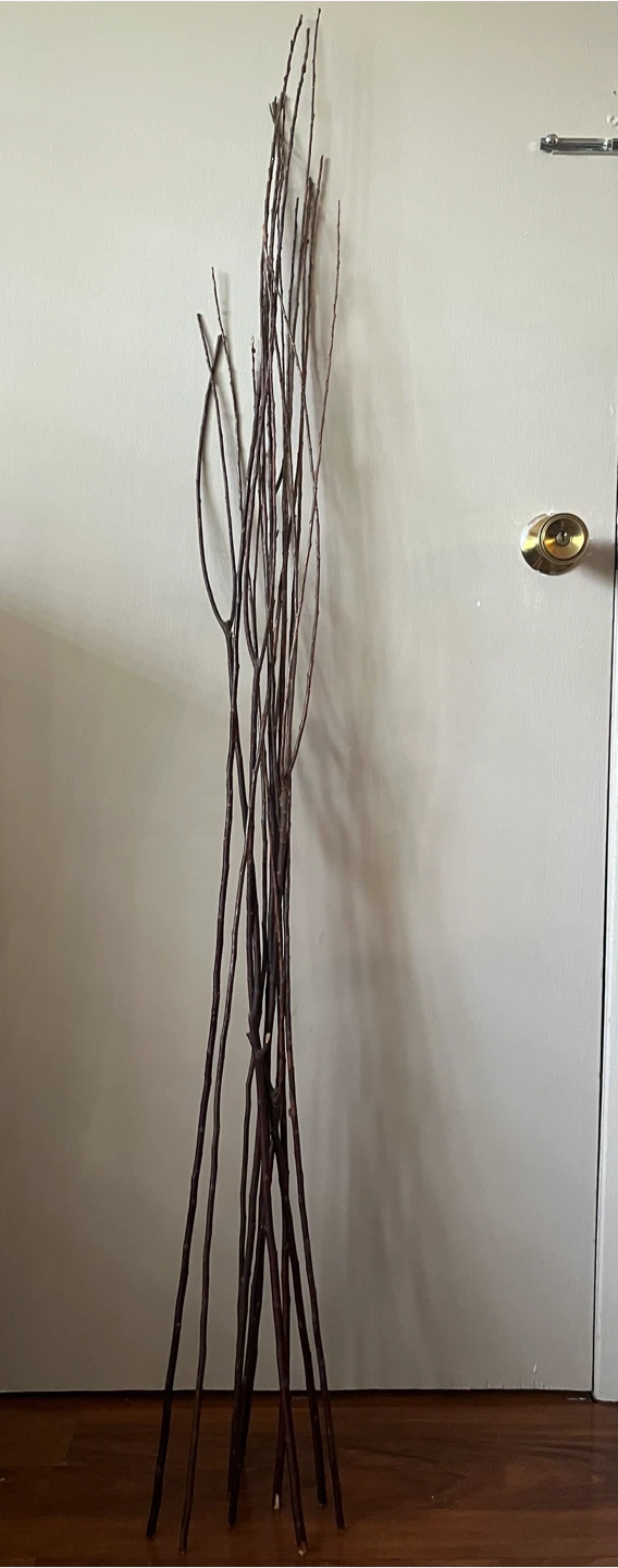 12 Tall Decorative Branches
