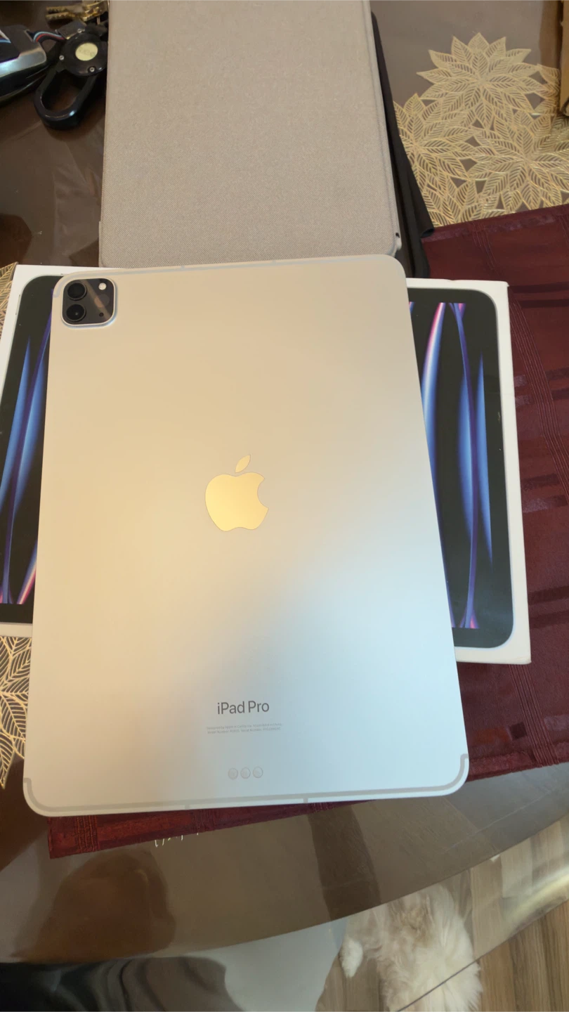 IPAD PRO 11” WIFI-CELLULAR 512GB UNLOCKED  MINT CONDITION - photo 4