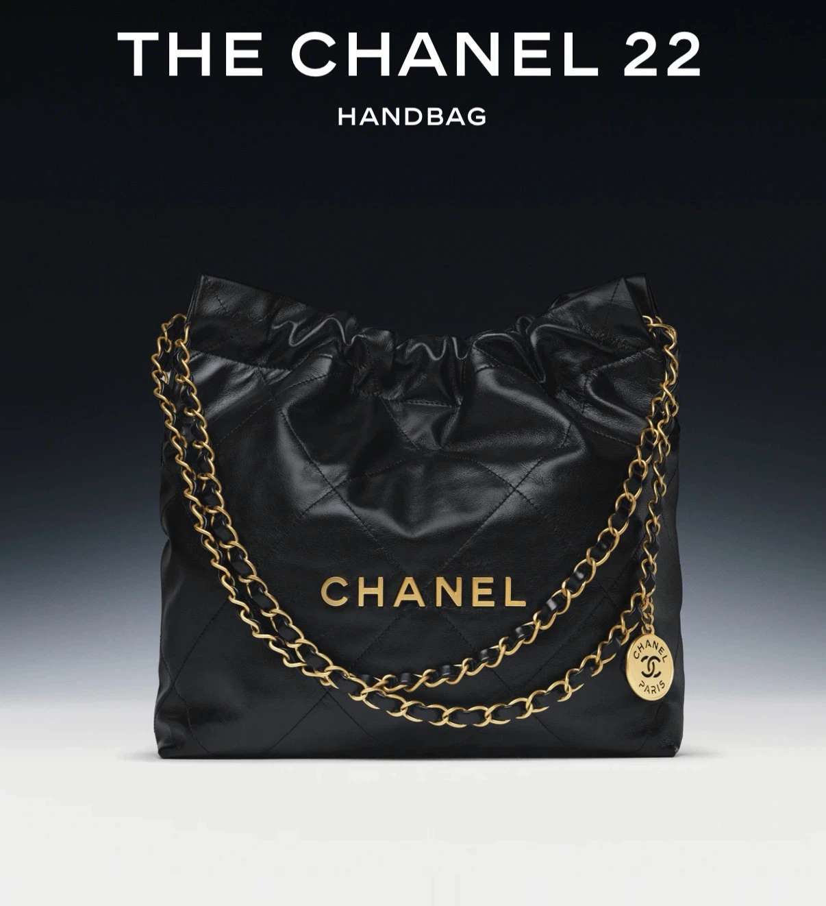 CHANEL 22 Handbag
