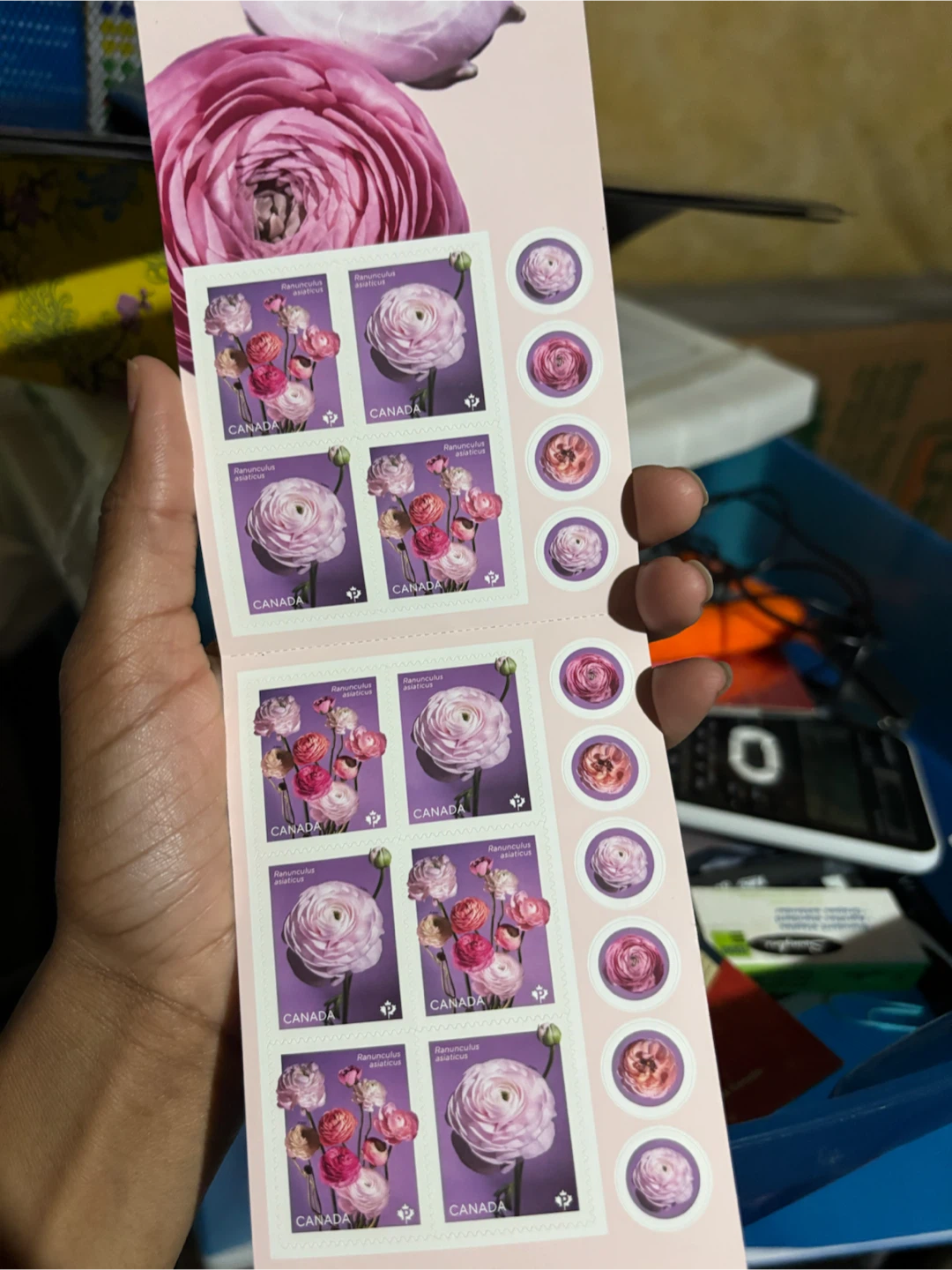 Canada Postage Stamps - Ranunculus Asiaticus Flowers