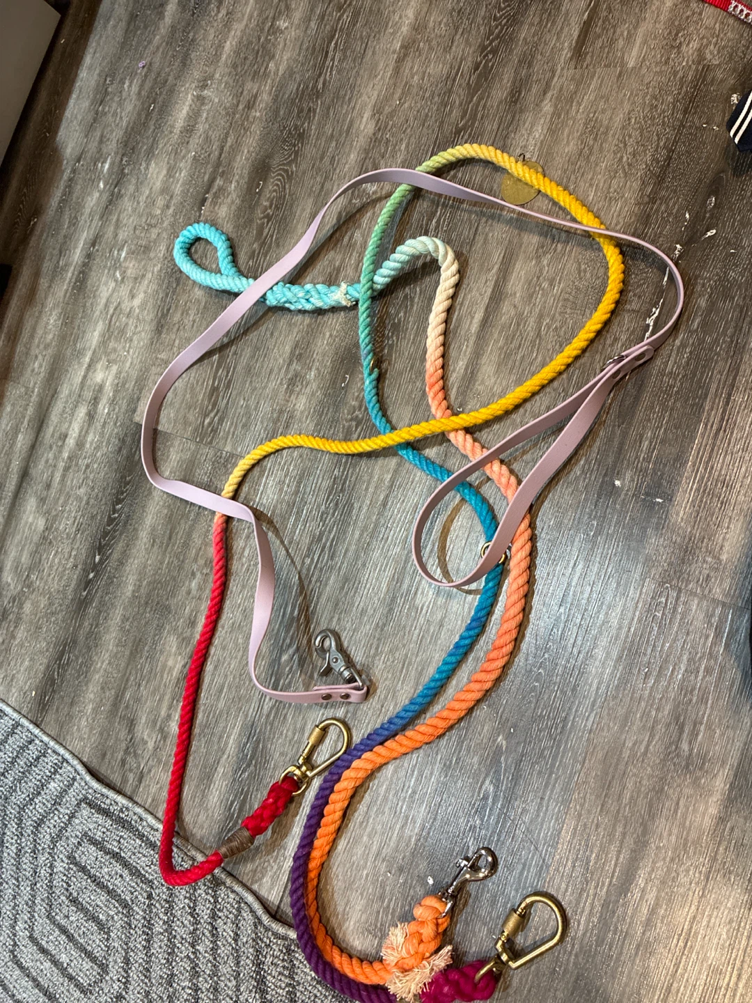 4 Dog Leashes