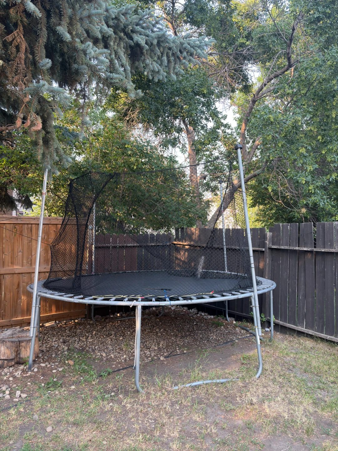Trampoline