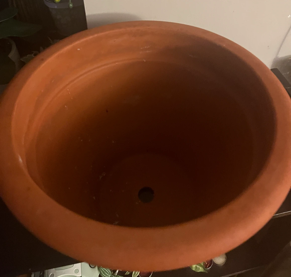 Terracotta Plant Pot - photo 3
