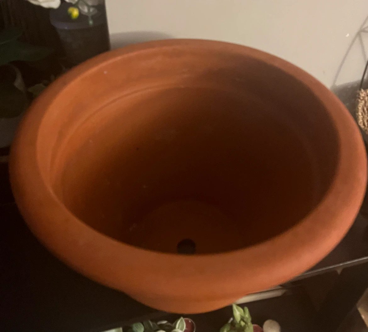 Terracotta Plant Pot - photo 4