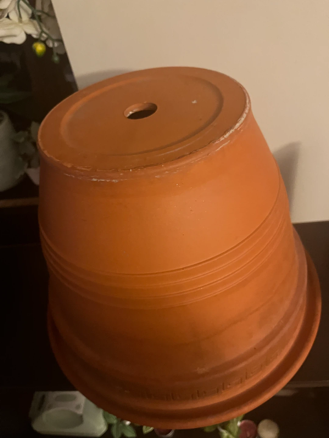 Terracotta Plant Pot - photo 5