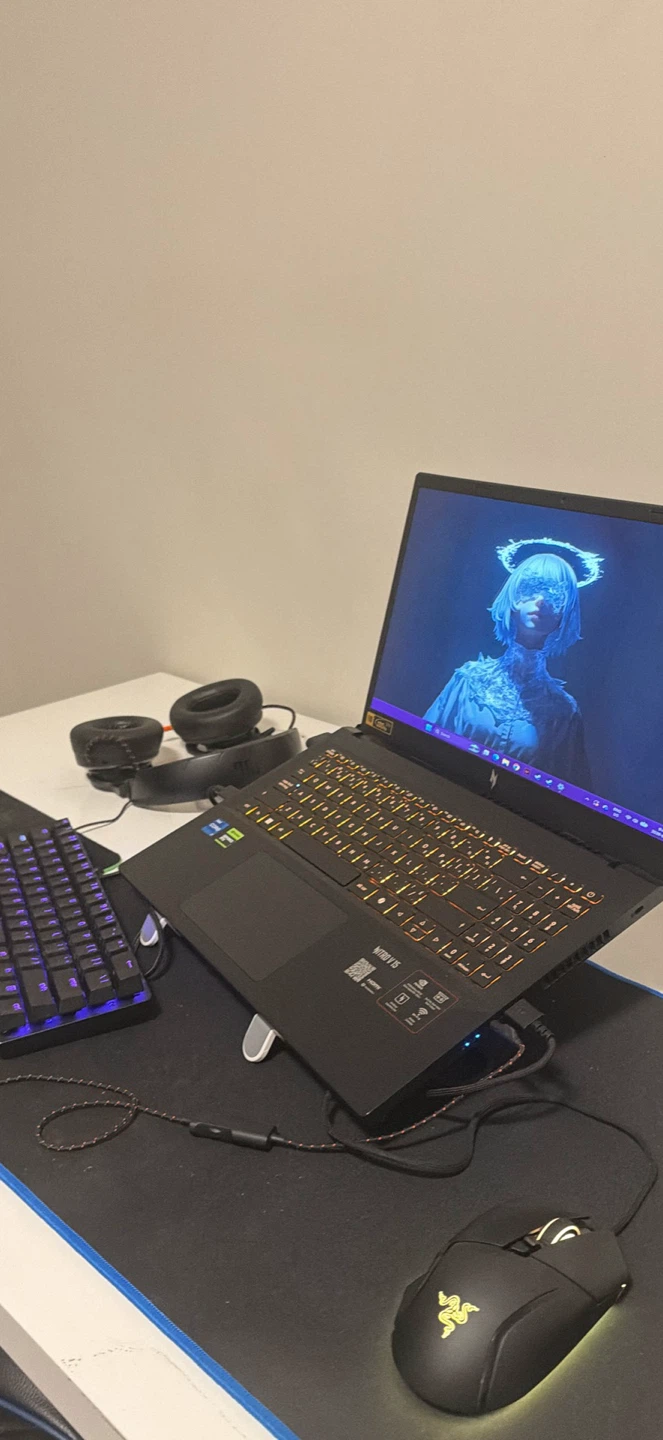 ACER NITRO 5 RTX 5060