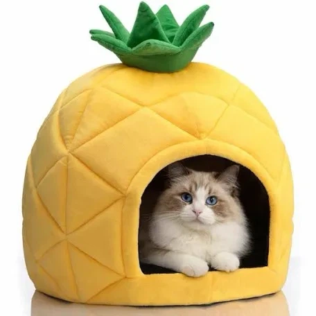 Pineapple Cat Bed House