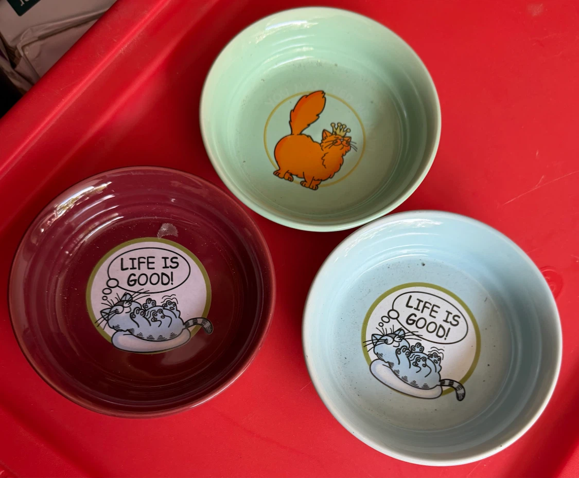 Set of 3 Cat Bowls