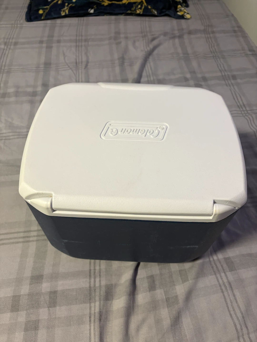 Coleman Cooler