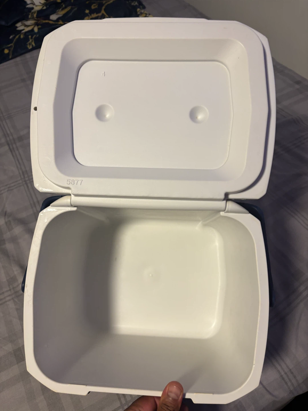 Coleman Cooler - photo 2