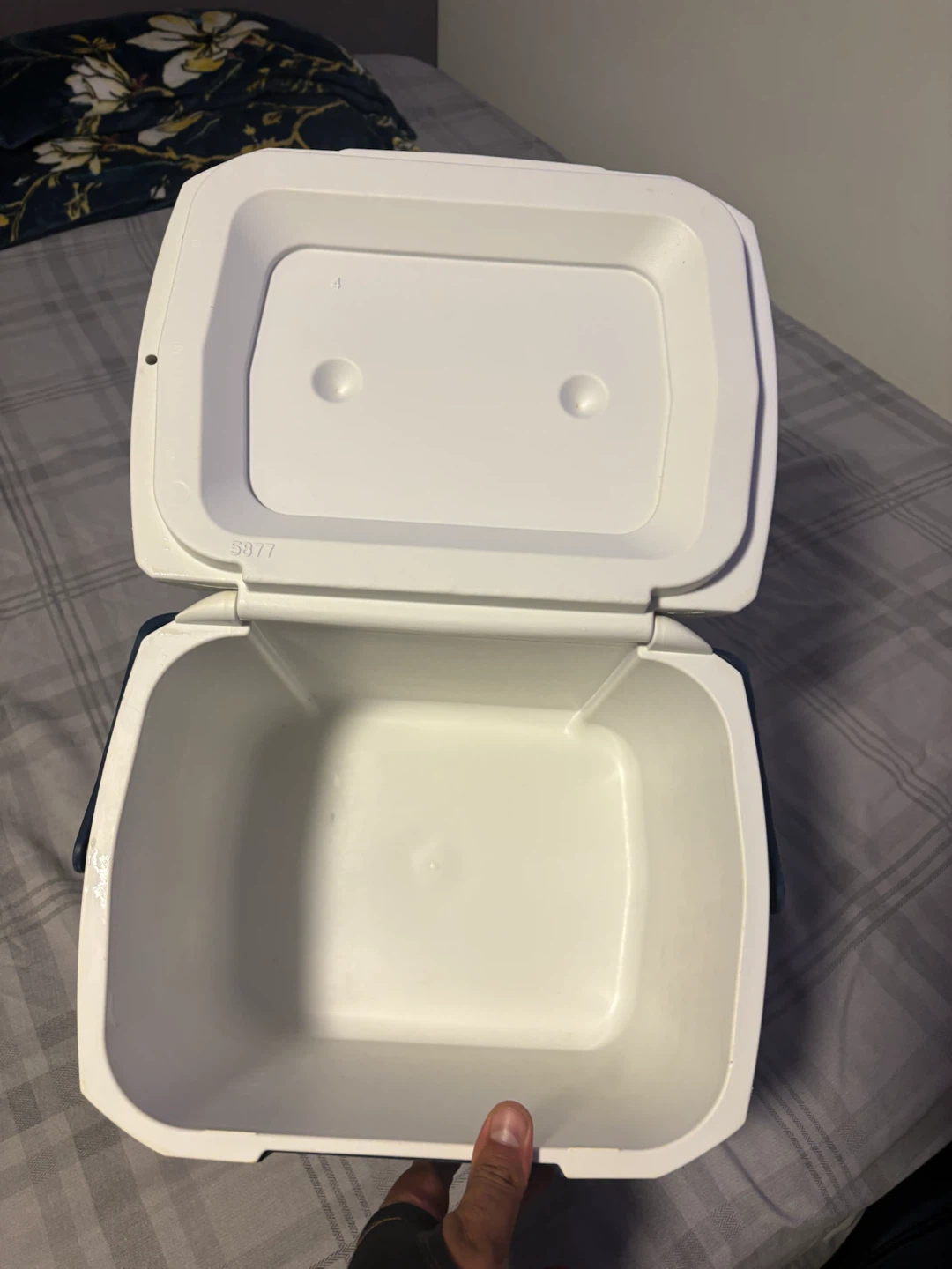 Coleman Cooler - photo 3