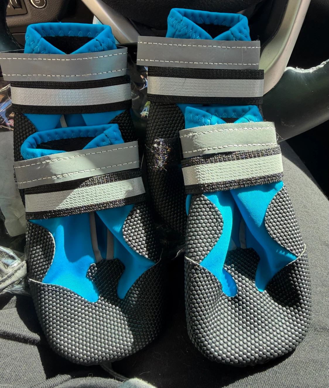 Dog Boots - Blue, Size XL