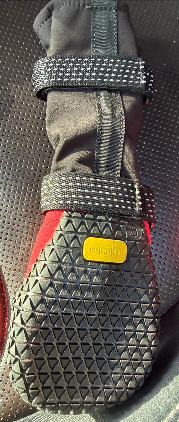 Dog Boots - Size 8