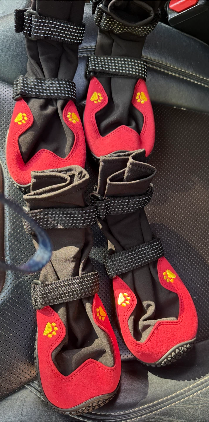 Dog Boots - Size 8 - photo 3