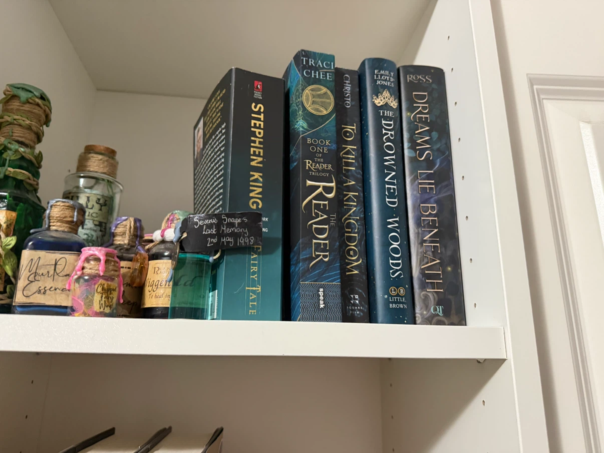 Collection of Fantasy and Young Adult Novels - photo 4