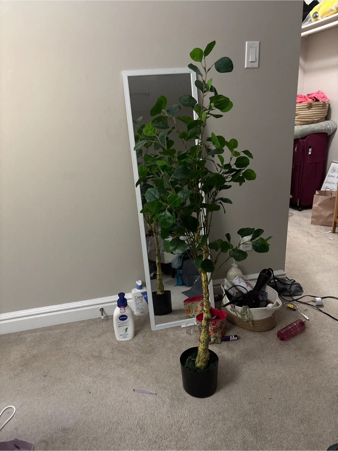 Artificial Ficus Tree in Black Pot