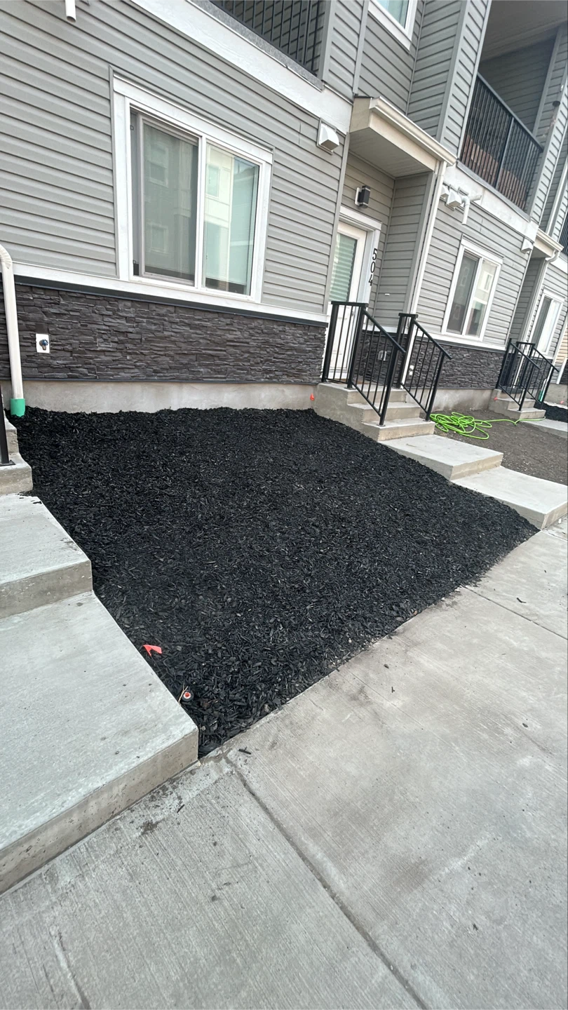 Black Mulch for Landscaping