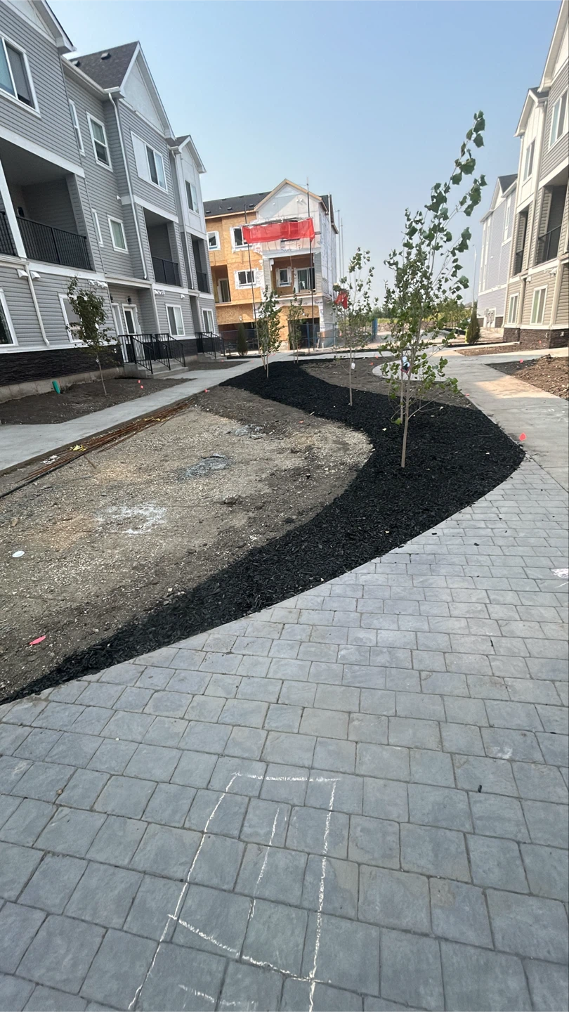 Black Mulch for Landscaping - photo 3