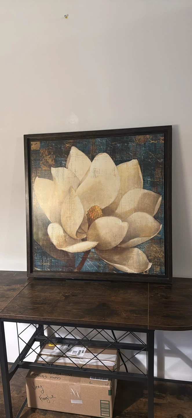 Framed Magnolia Flower Wall Art