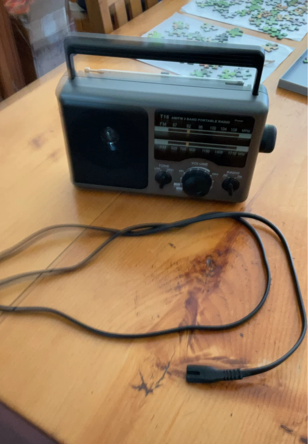 T16 AM/FM Portable Radio