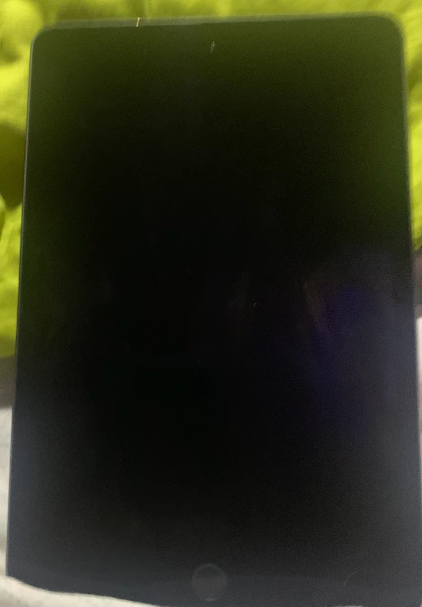 Apple iPad Mini 5th Generation