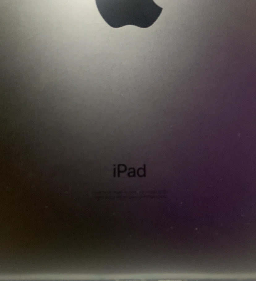 Apple iPad Mini 5th Generation - photo 4