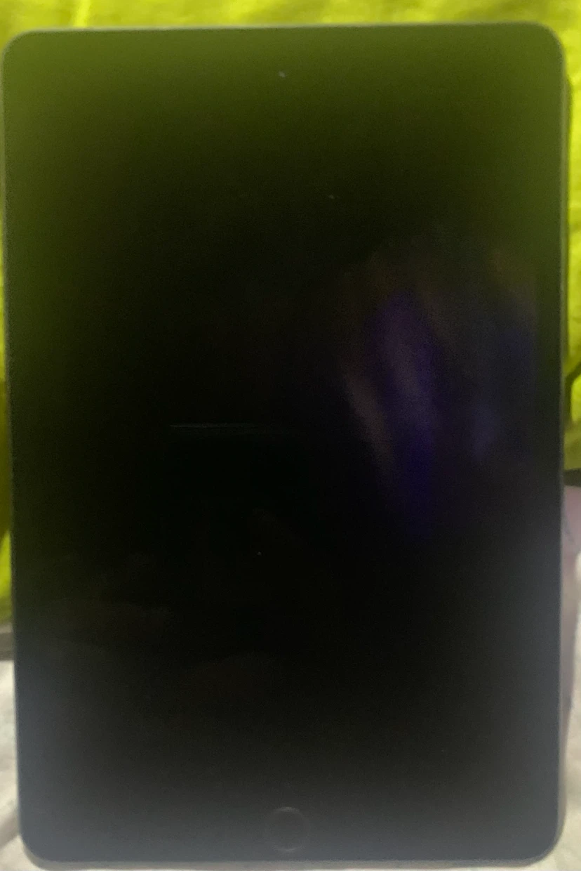 Apple iPad Mini 5th Generation - photo 5