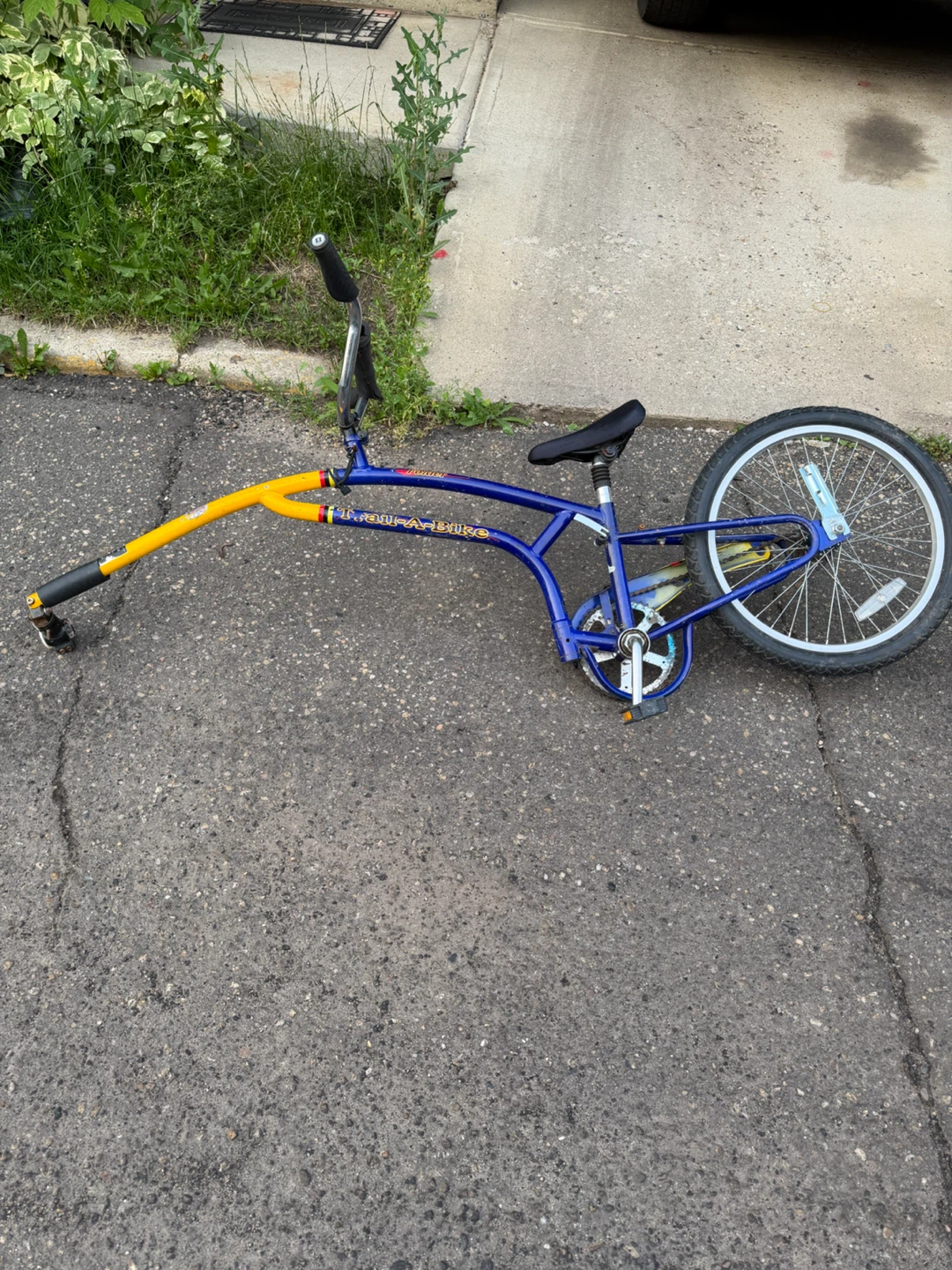 Blue & Yellow Trail-A-Bike