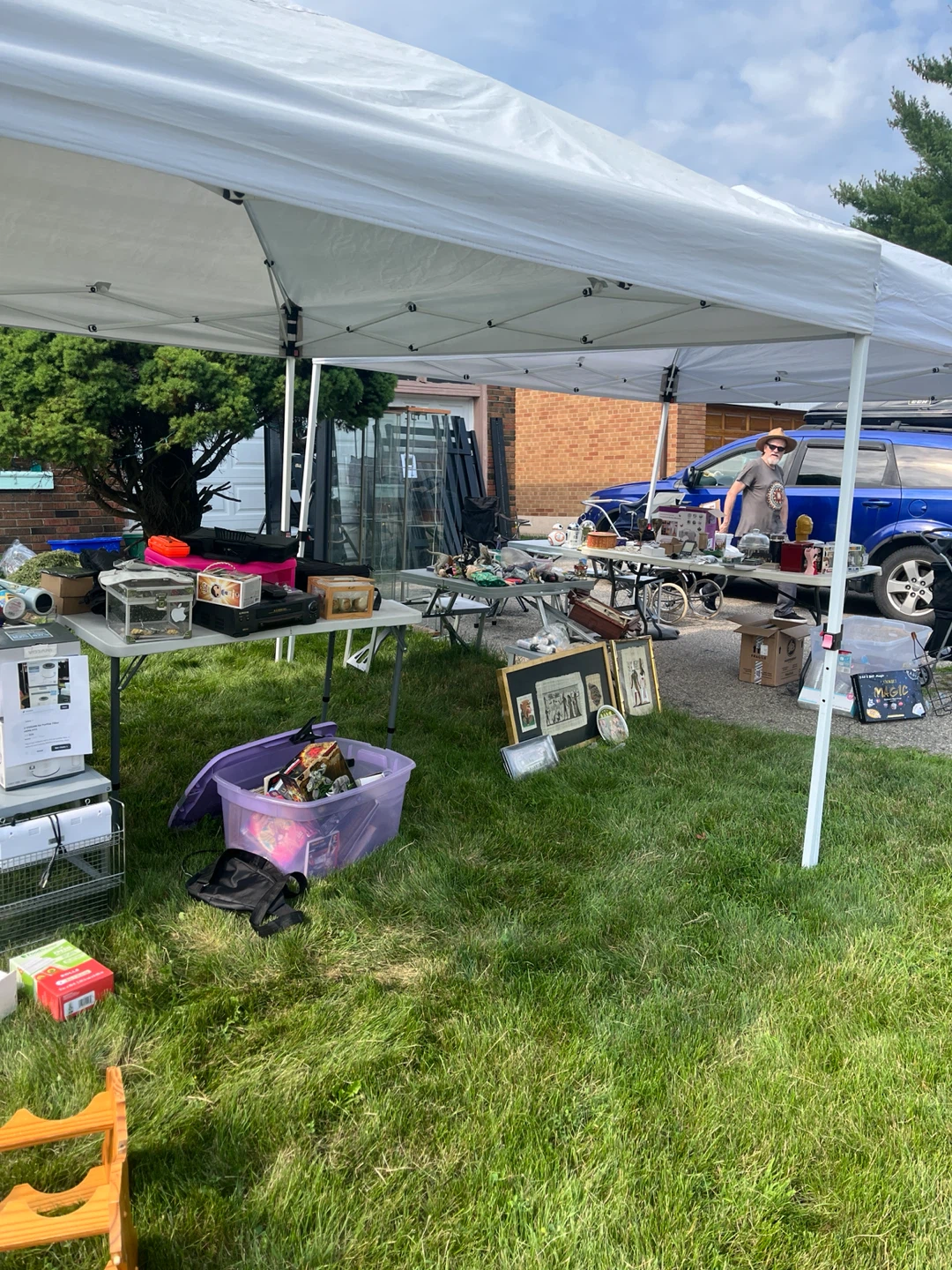 Lawn Sale - photo 3