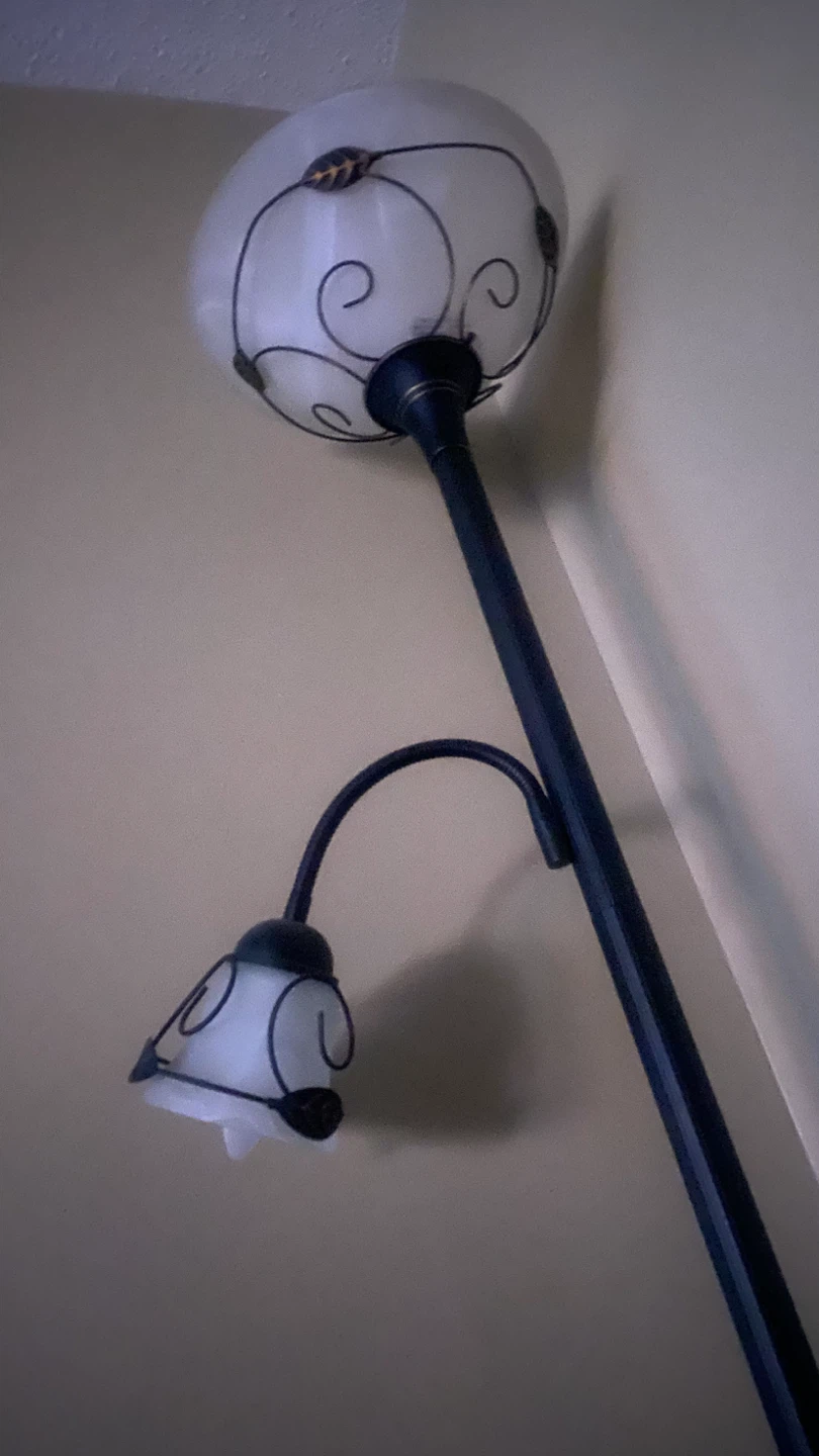 Dual Head Floor Lamp with Adjustable Reading Light - photo 2
